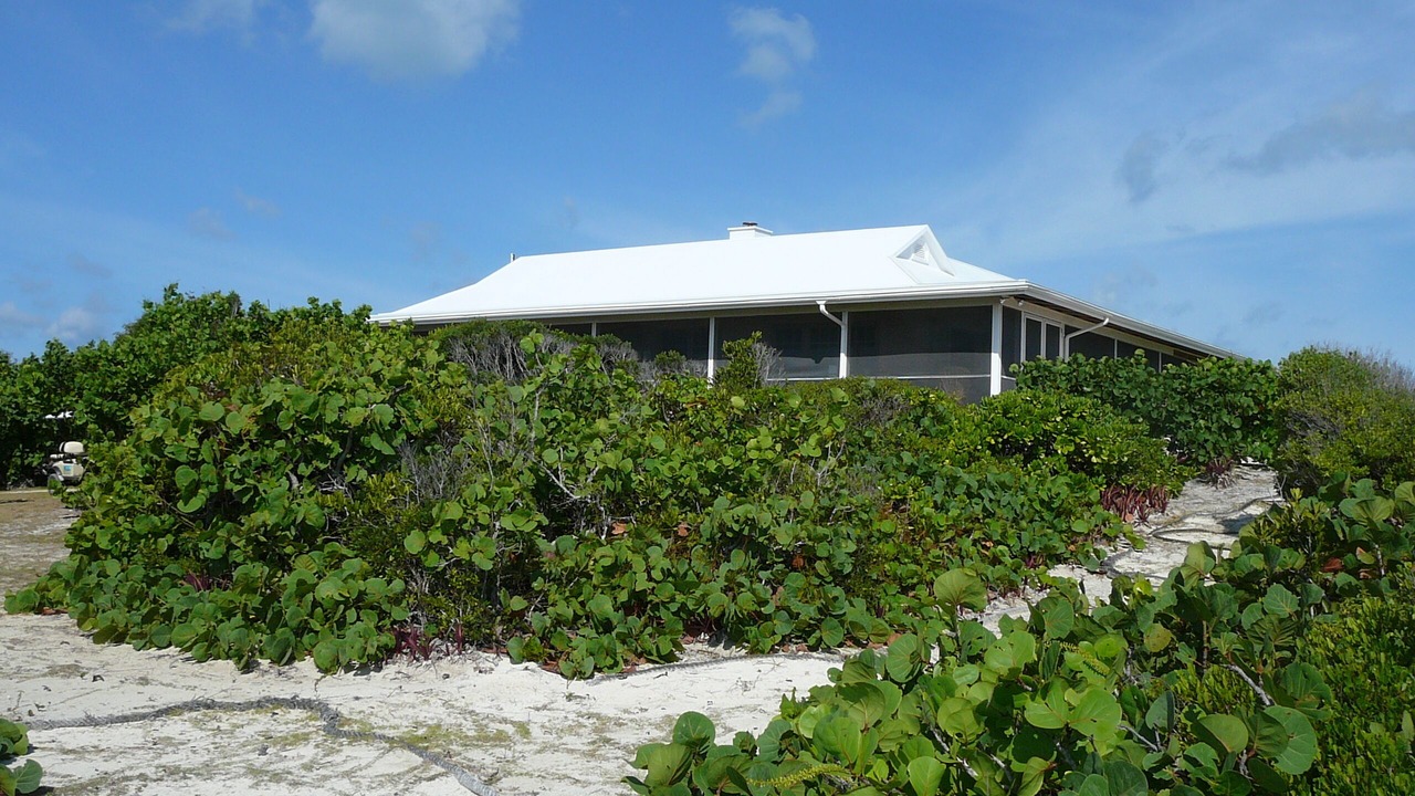 Photo of Others in Green Turtle Cay