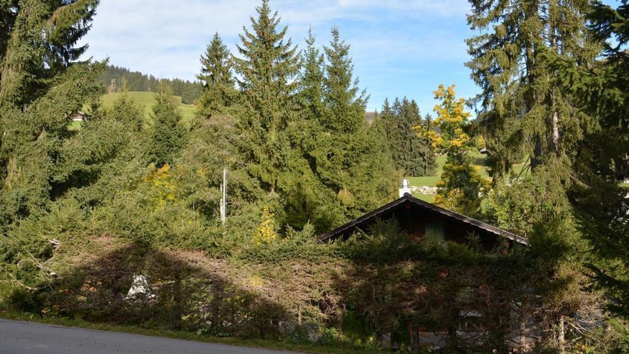Photo of Others in Saanenmoeser