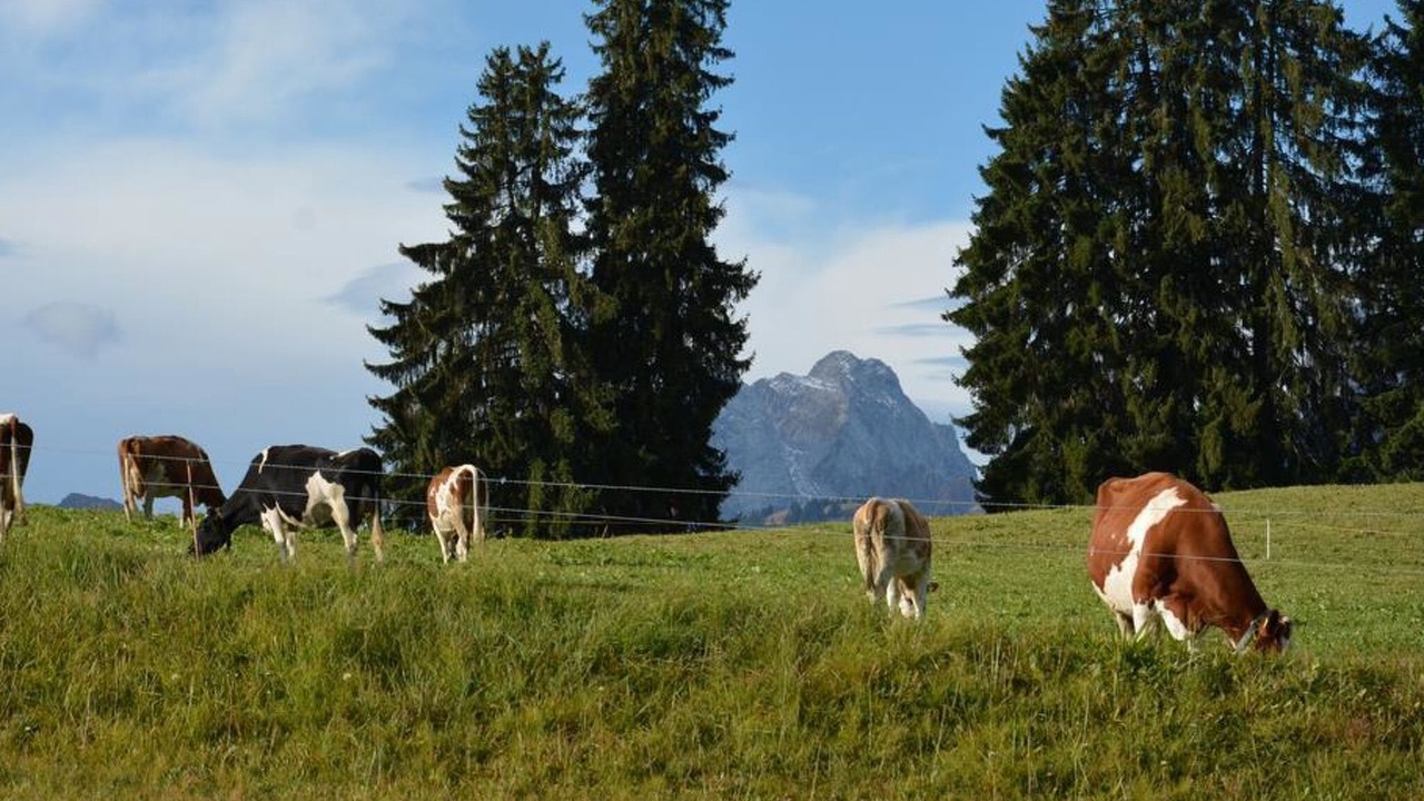 Photo of Outdoor in Saanenmoeser