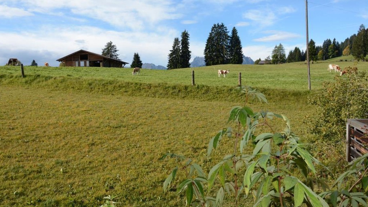 Photo of Outdoor in Saanenmoeser