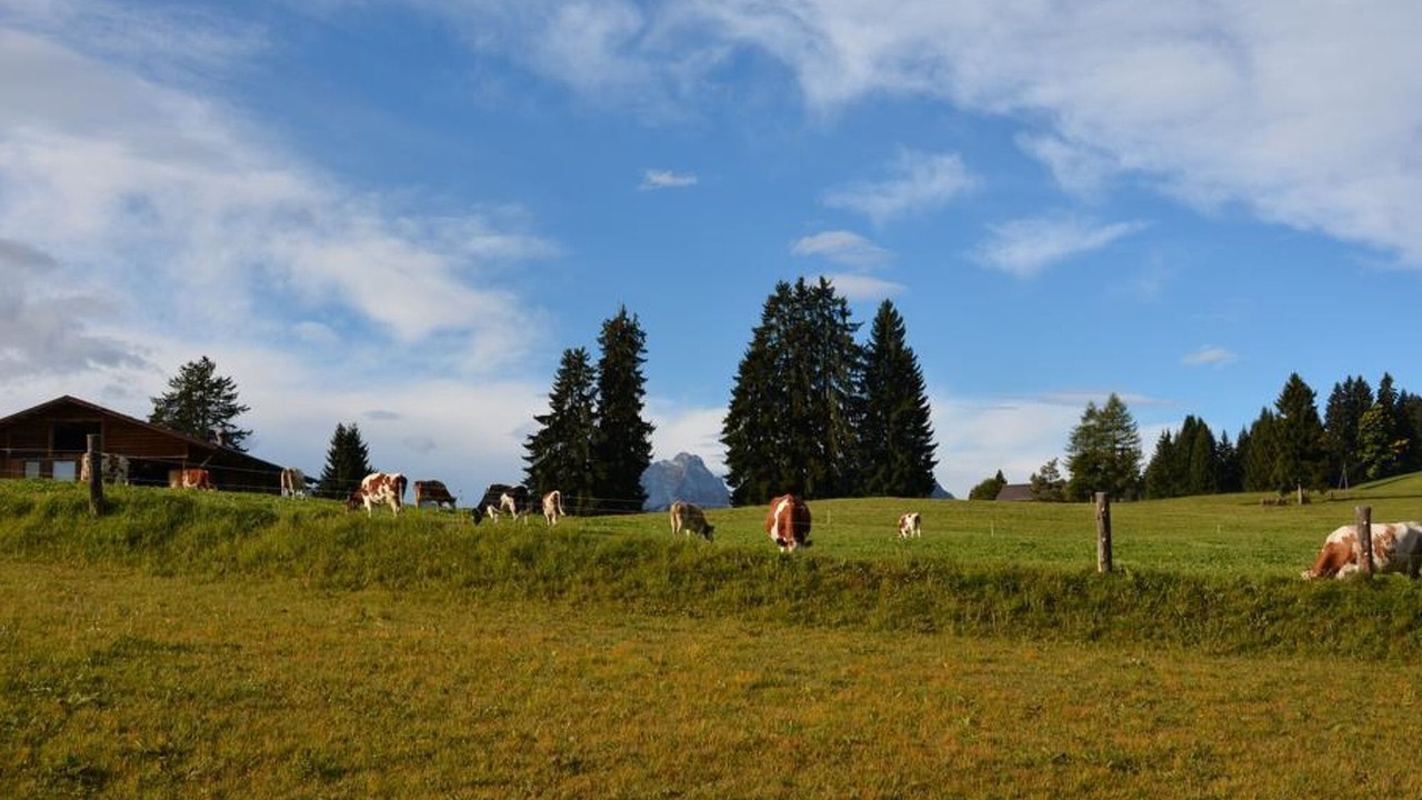 Photo of Others in Saanenmoeser