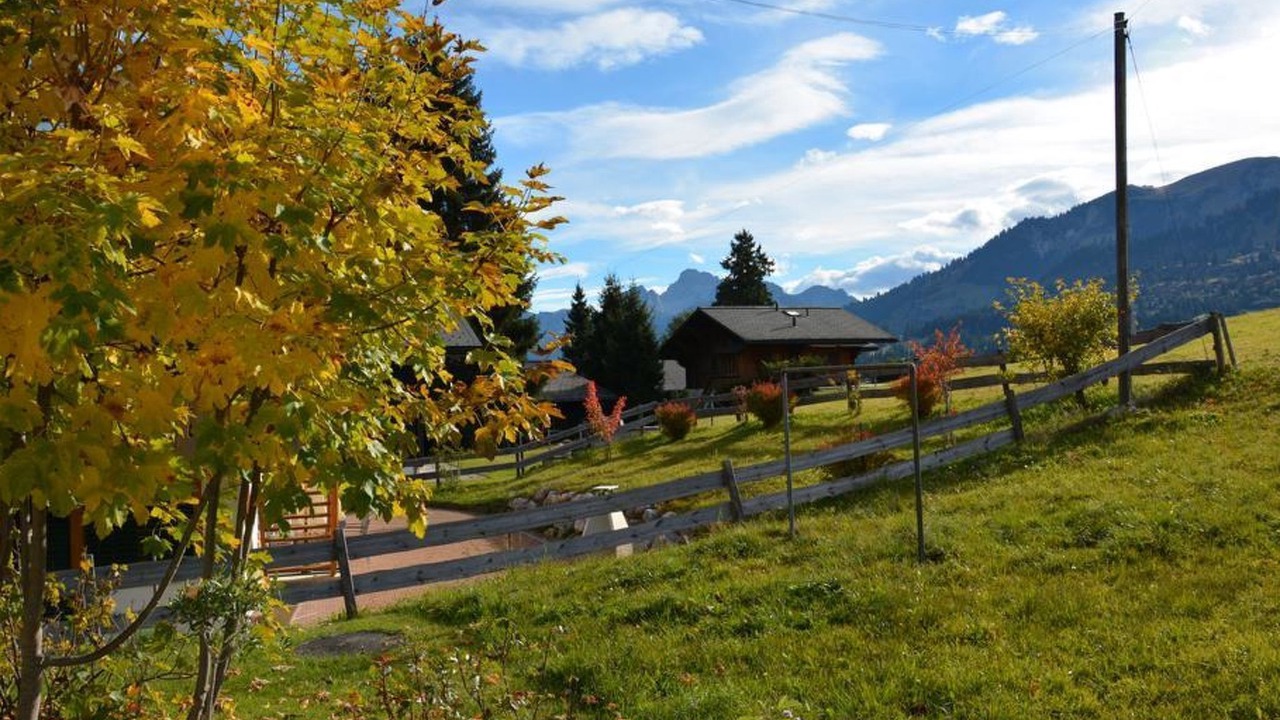 Photo of Outdoor in Saanenmoeser