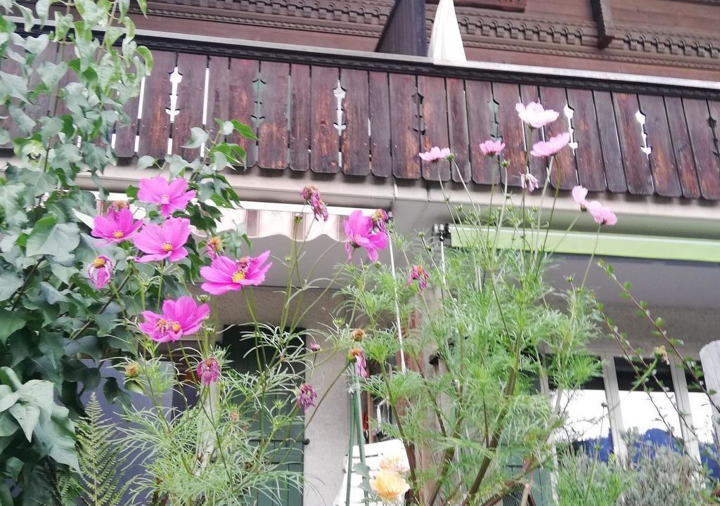 Photo of Outdoor in Lenk
