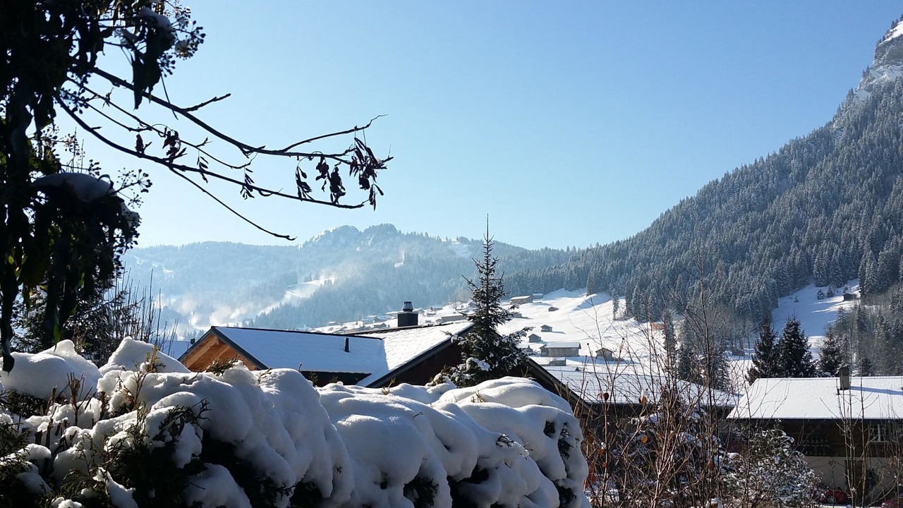 Photo of Others in Lenk