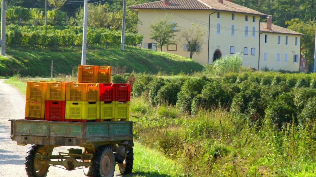Photo of Others in Serravalle Pistoiese