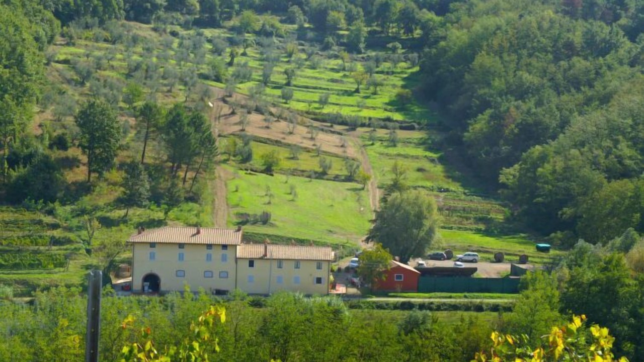 Photo of Others in Serravalle Pistoiese