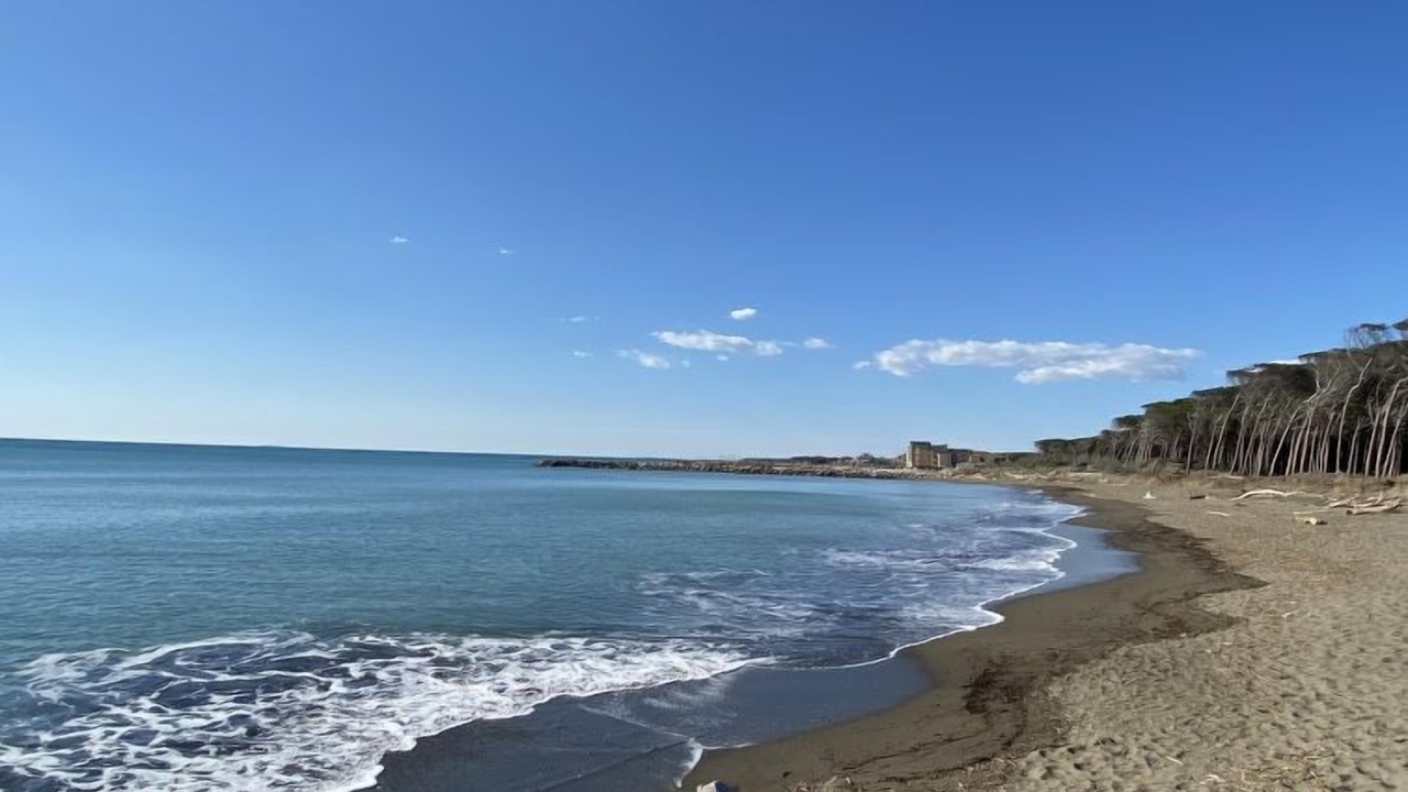 Photo of Others in Marina di Cecina