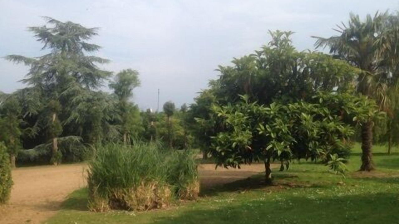 Photo of Outdoor in Lantic