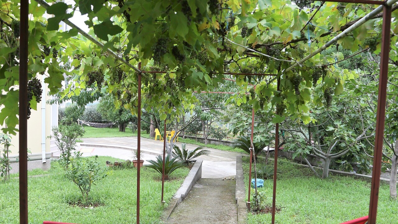 Photo of Outdoor in Khelvachauri