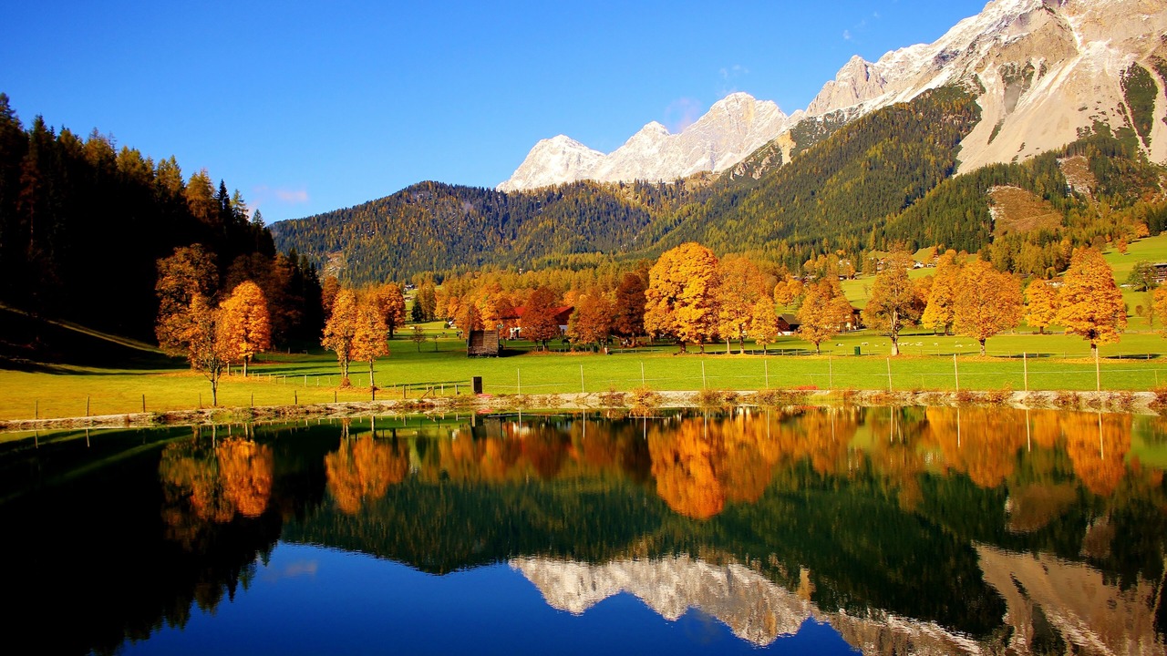 Photo of Others in Schildlehen