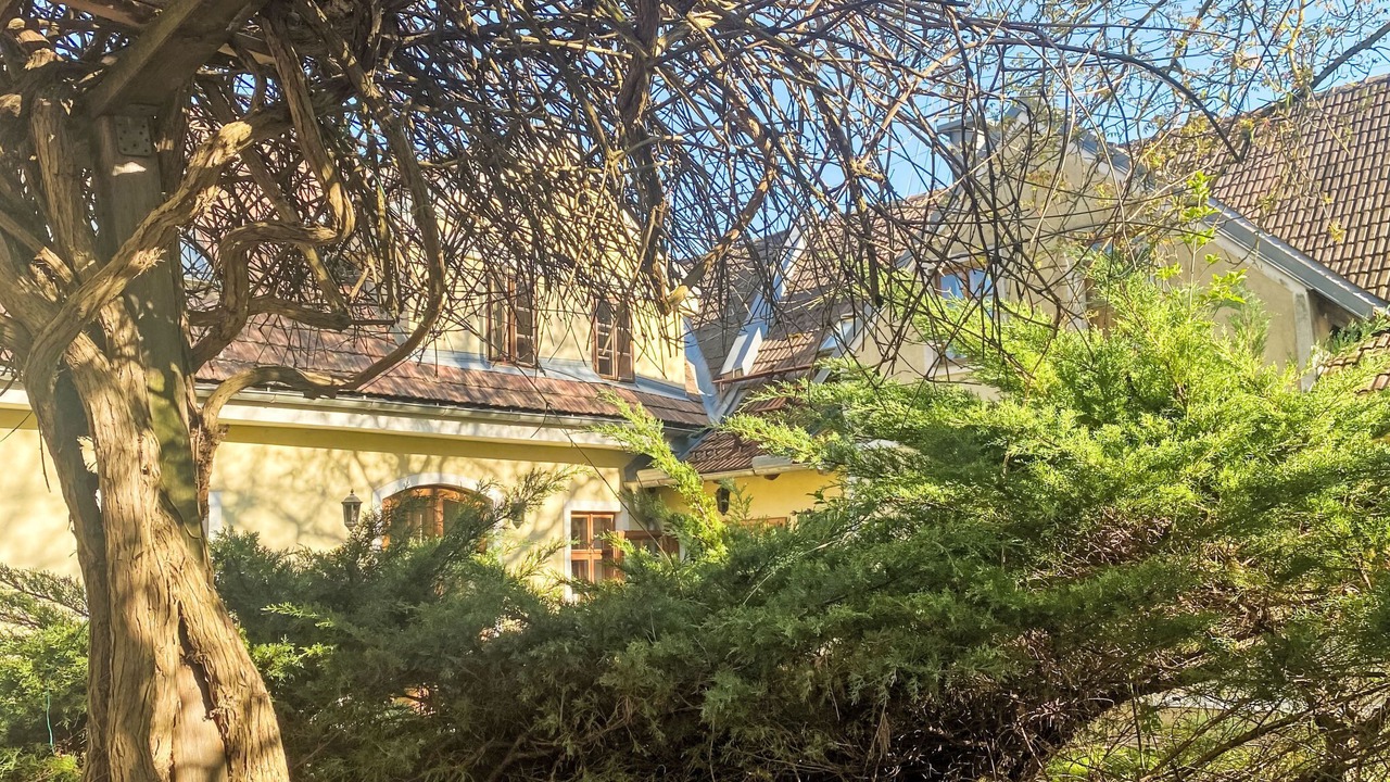 Photo of Outdoor in Aggsbach Markt