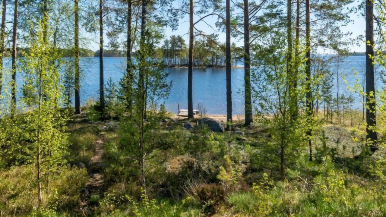Photo of Outdoor in Kitee