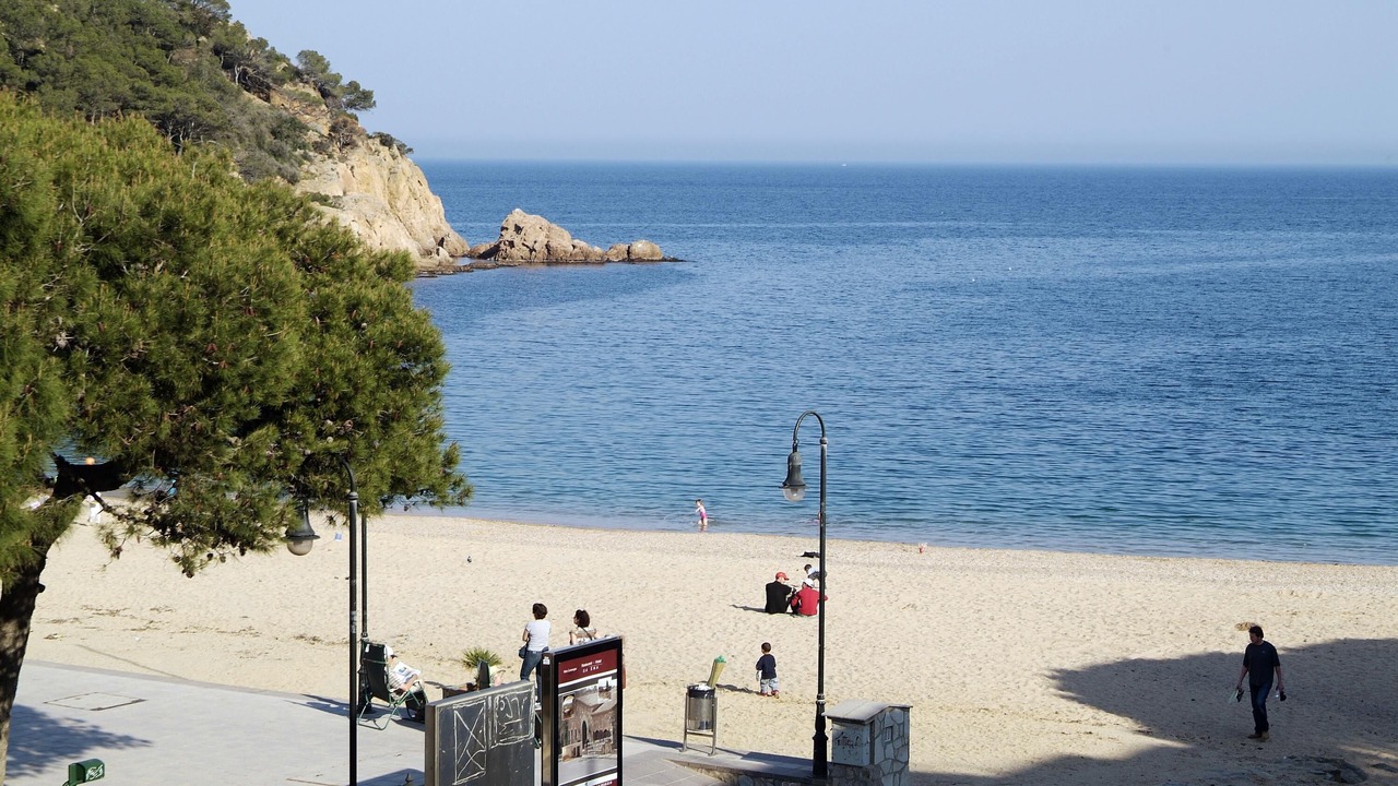 Photo of Others in Tamariu