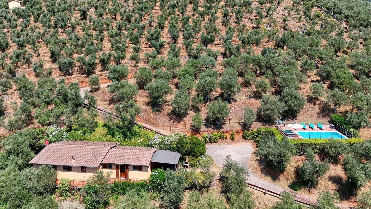 Photo of Outdoor in Calci