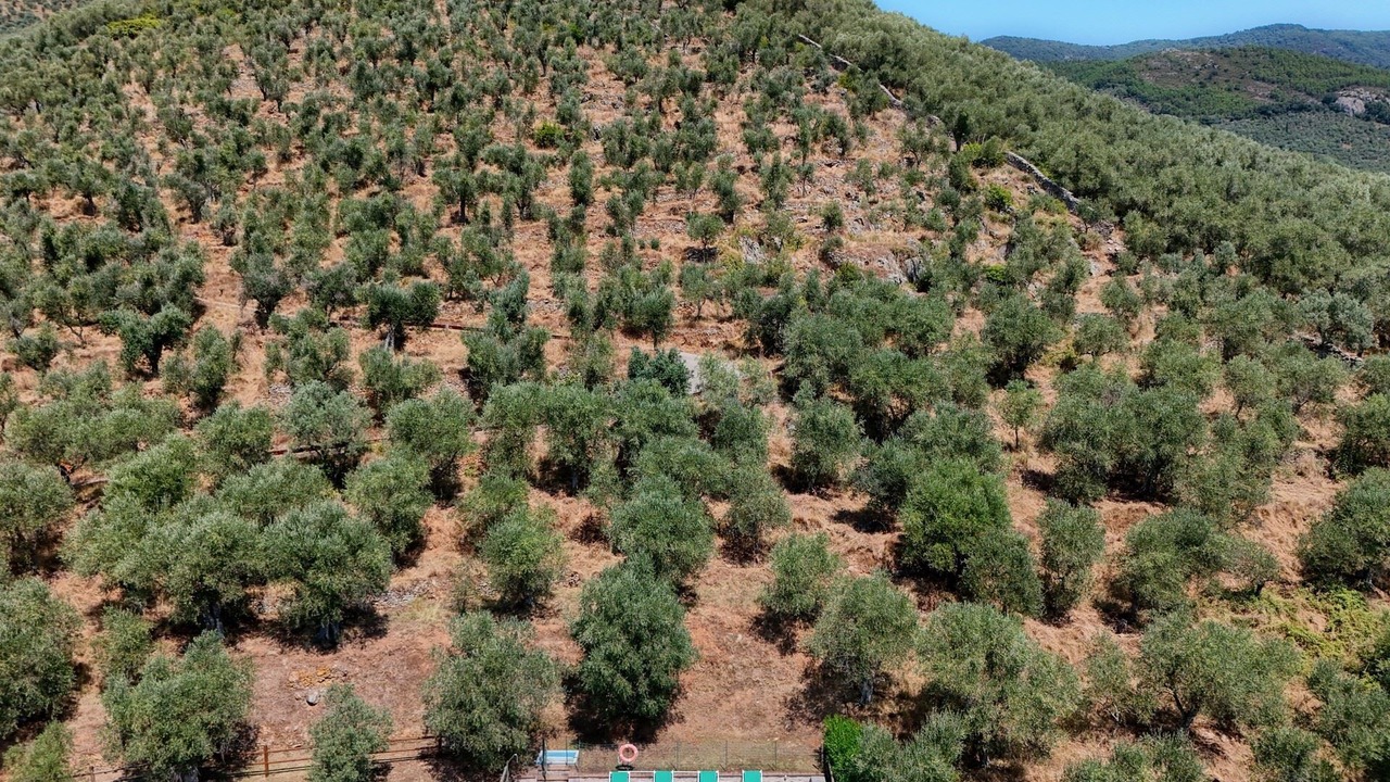 Photo of Outdoor in Calci