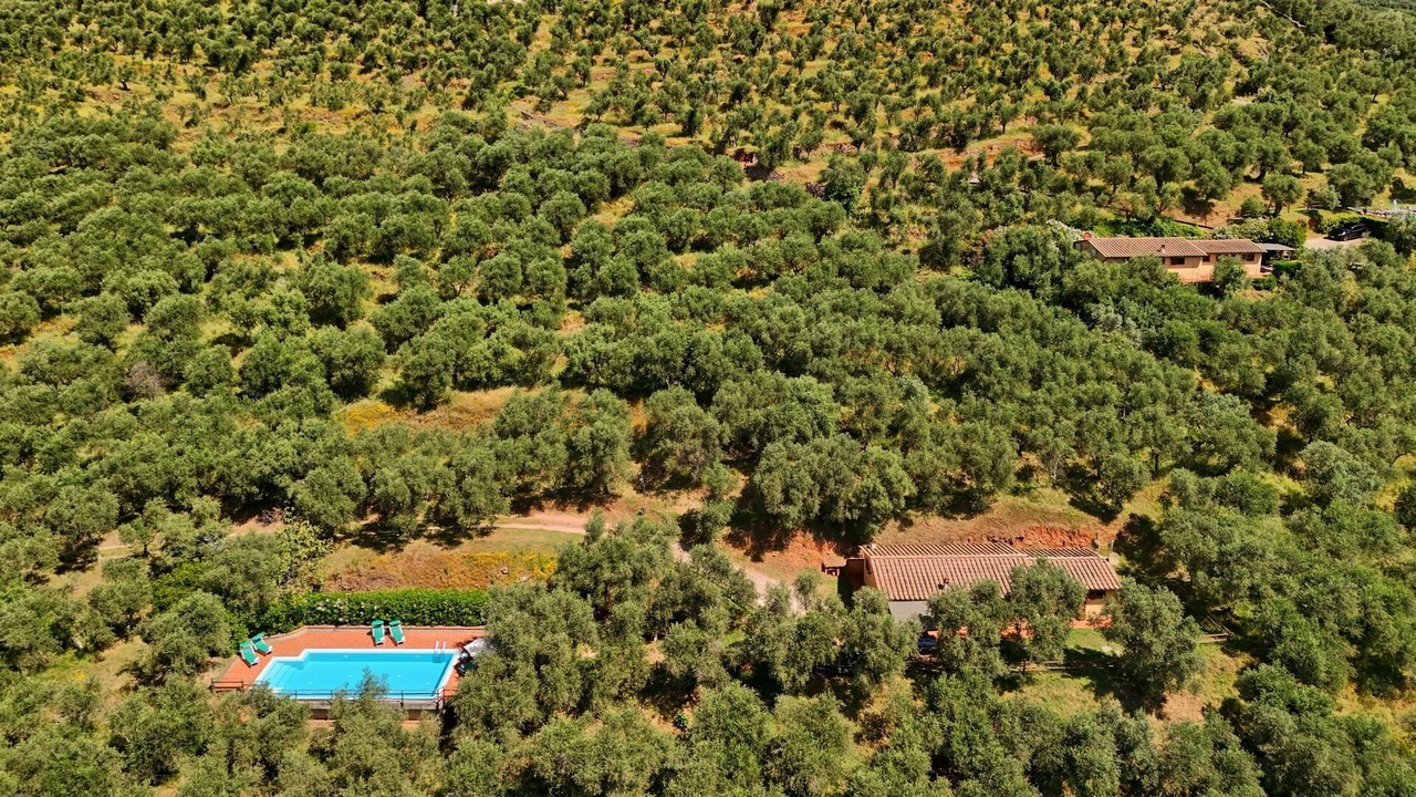 Photo of Outdoor in Calci
