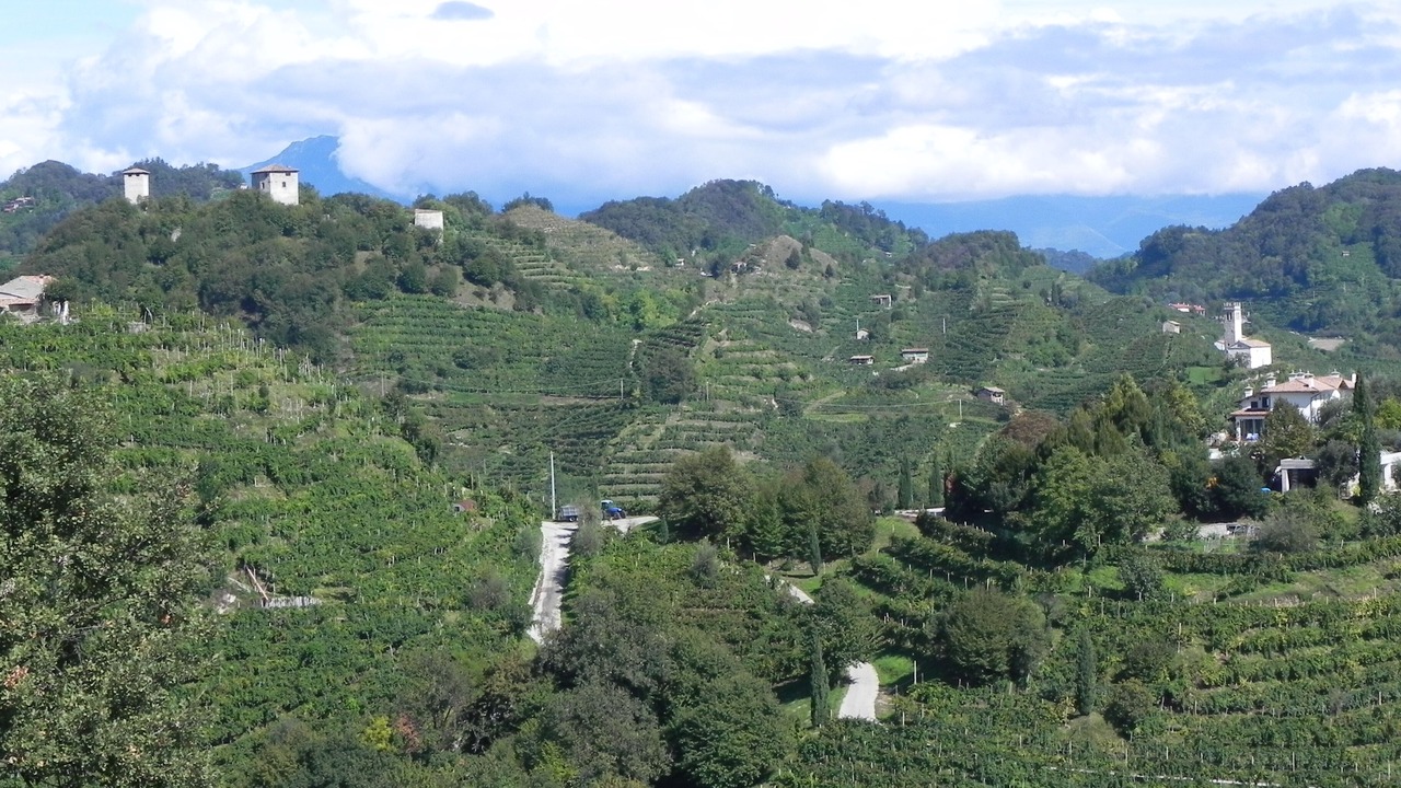 Photo of Outdoor in Col San Martino