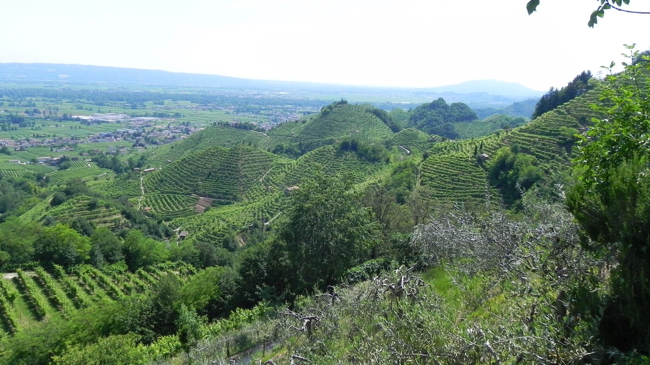 Photo of Others in Col San Martino