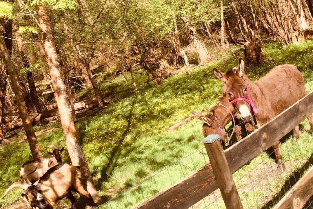 Photo of Outdoor in Belin-Beliet