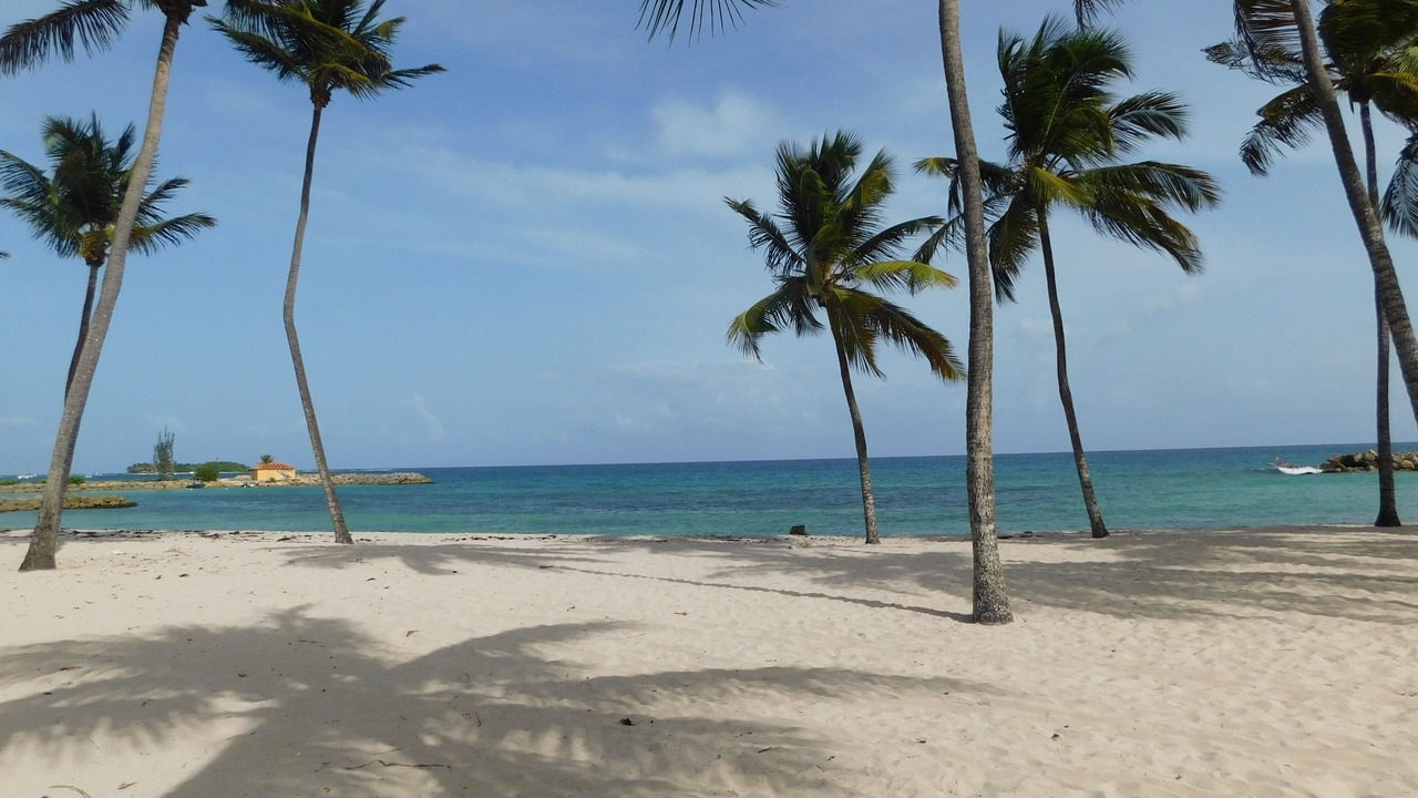Photo of Others in Pointe de la verdure