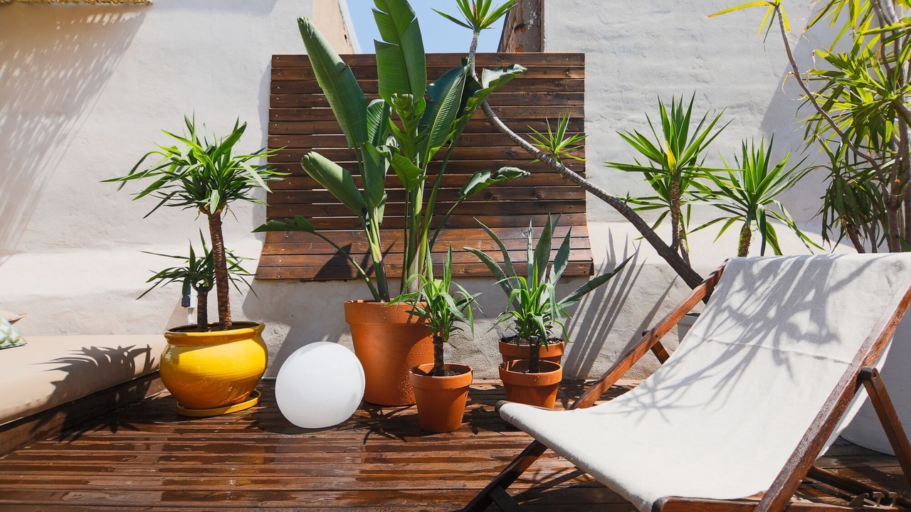 Photo of Patio Balcony in El Raval