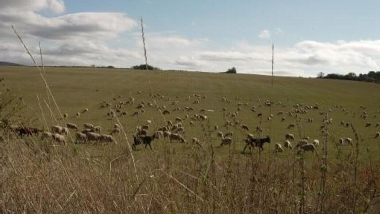 Photo of Others in Veyreau
