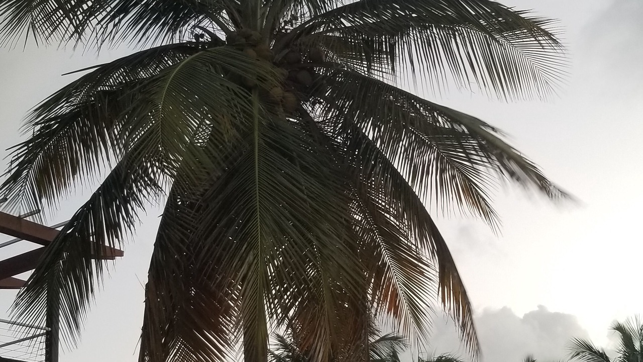 Photo of Outdoor in Puerto Nuevo