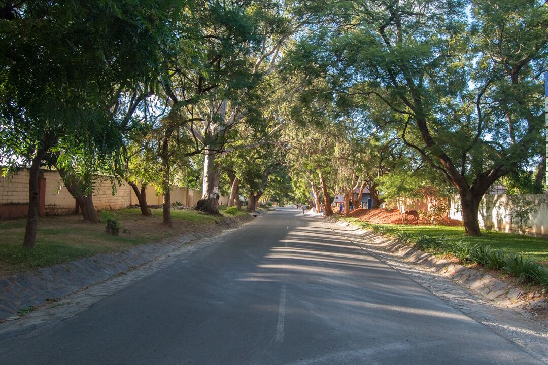 Photo of Others in Lusaka