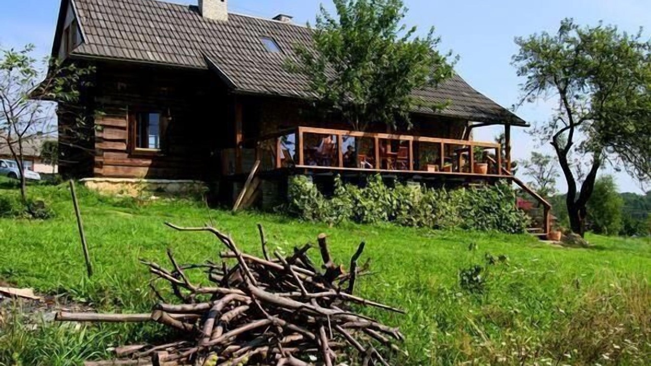 Photo of Outdoor in Cisowa