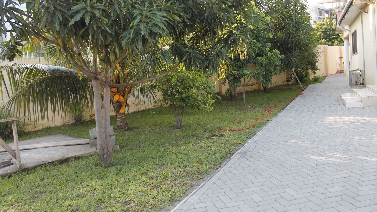 Photo of Outdoor in Teshie
