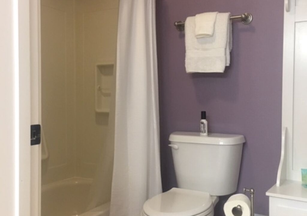 Photo of Bathroom in Susitna North
