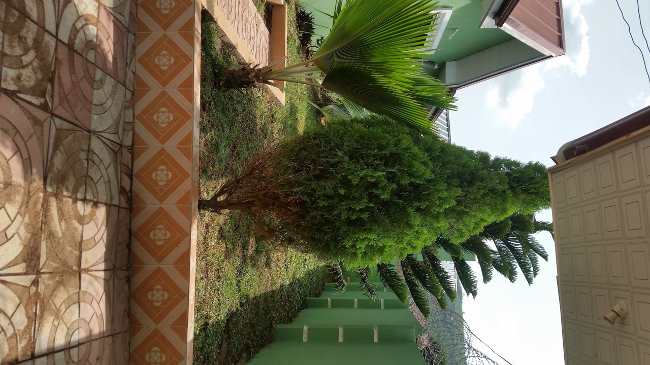 Photo of Outdoor in Aiyimensa