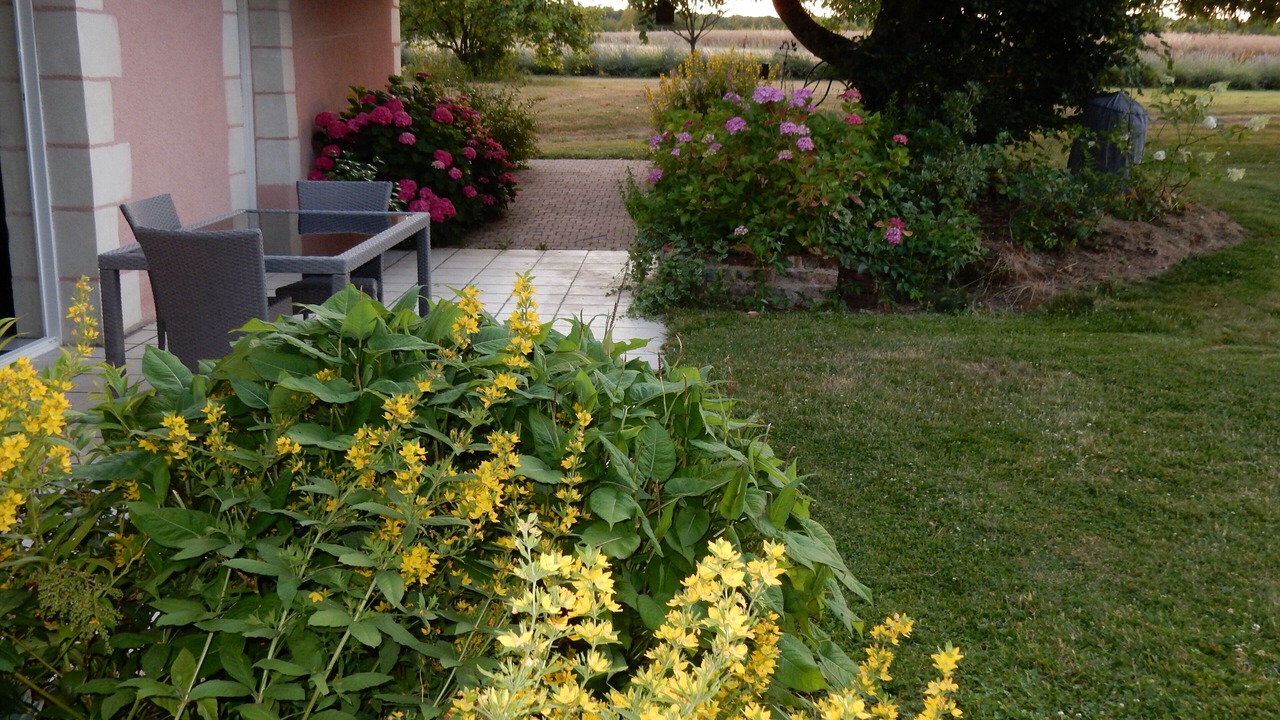 Photo of Outdoor in Rahart
