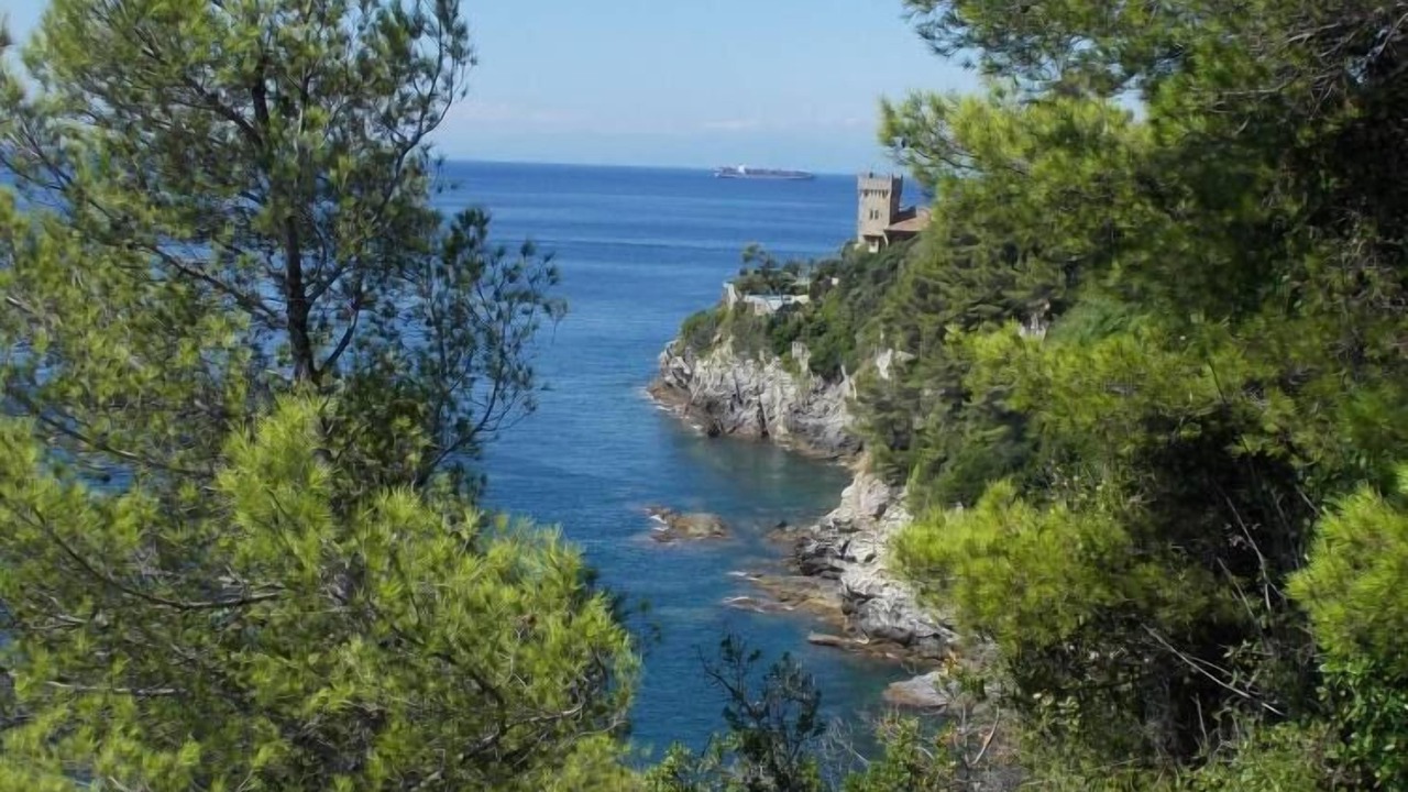 Photo of Outdoor in Sori