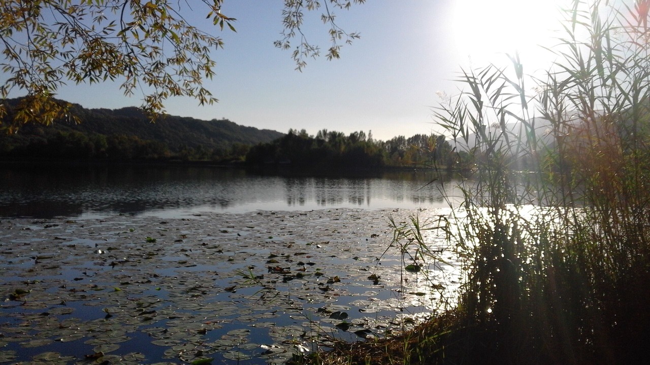Photo of Others in Revine Lago