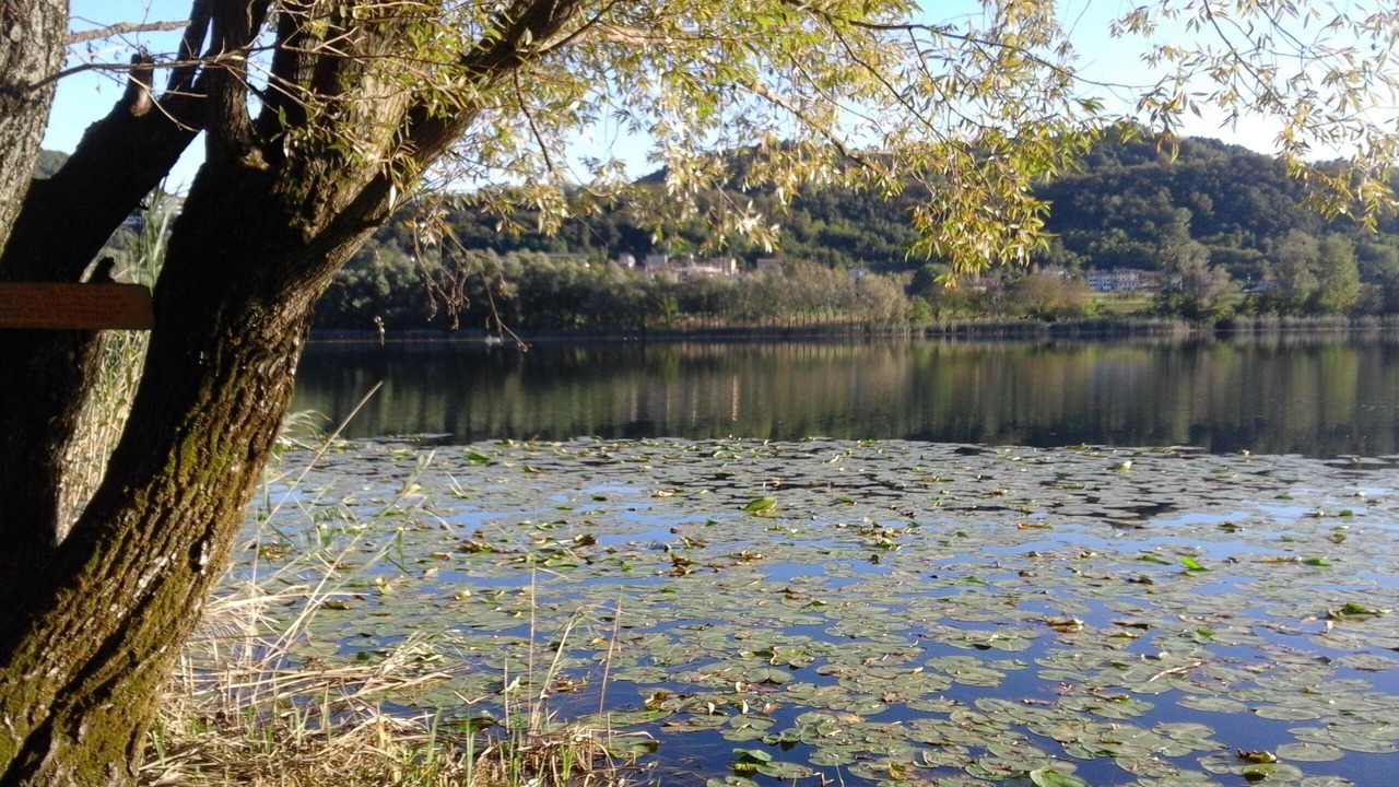 Photo of Others in Revine Lago