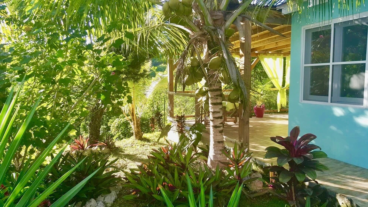 Photo of Outdoor in Le Gosier