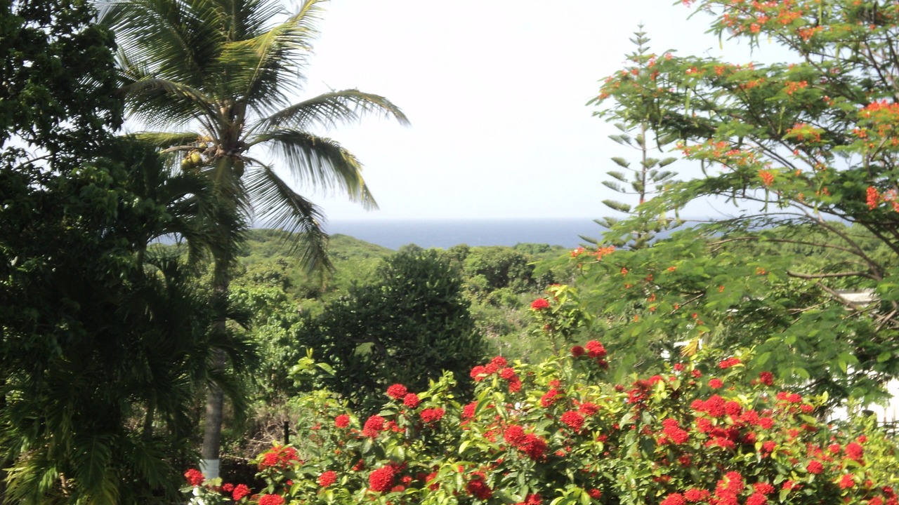 Photo of Outdoor in Le Moule