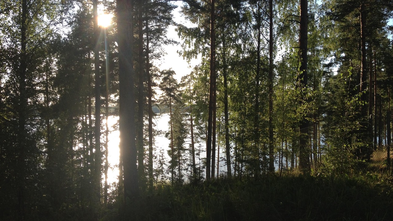 Photo of Others in Punkaharju