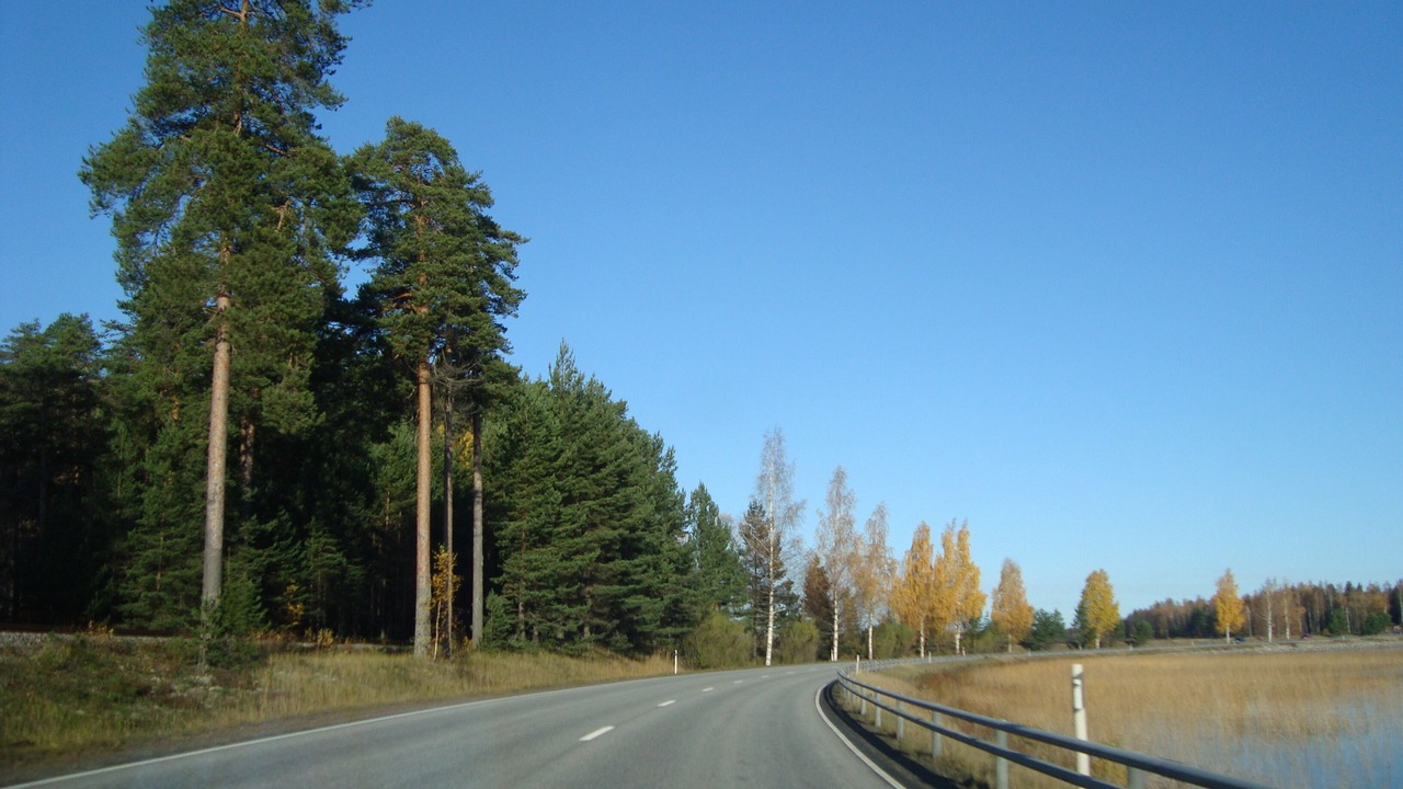 Photo of Outdoor in Punkaharju
