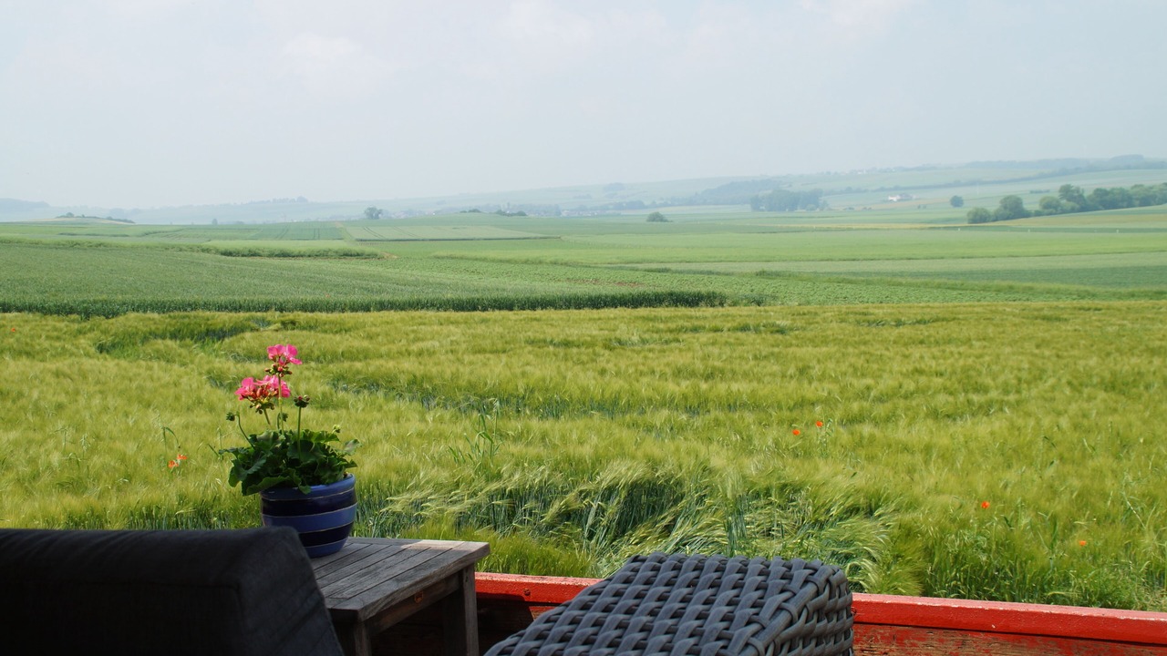 Photo of Outdoor in Gappenach