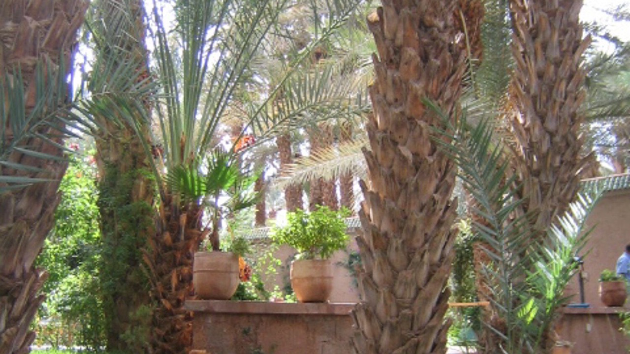 Photo of Outdoor in Amezrou