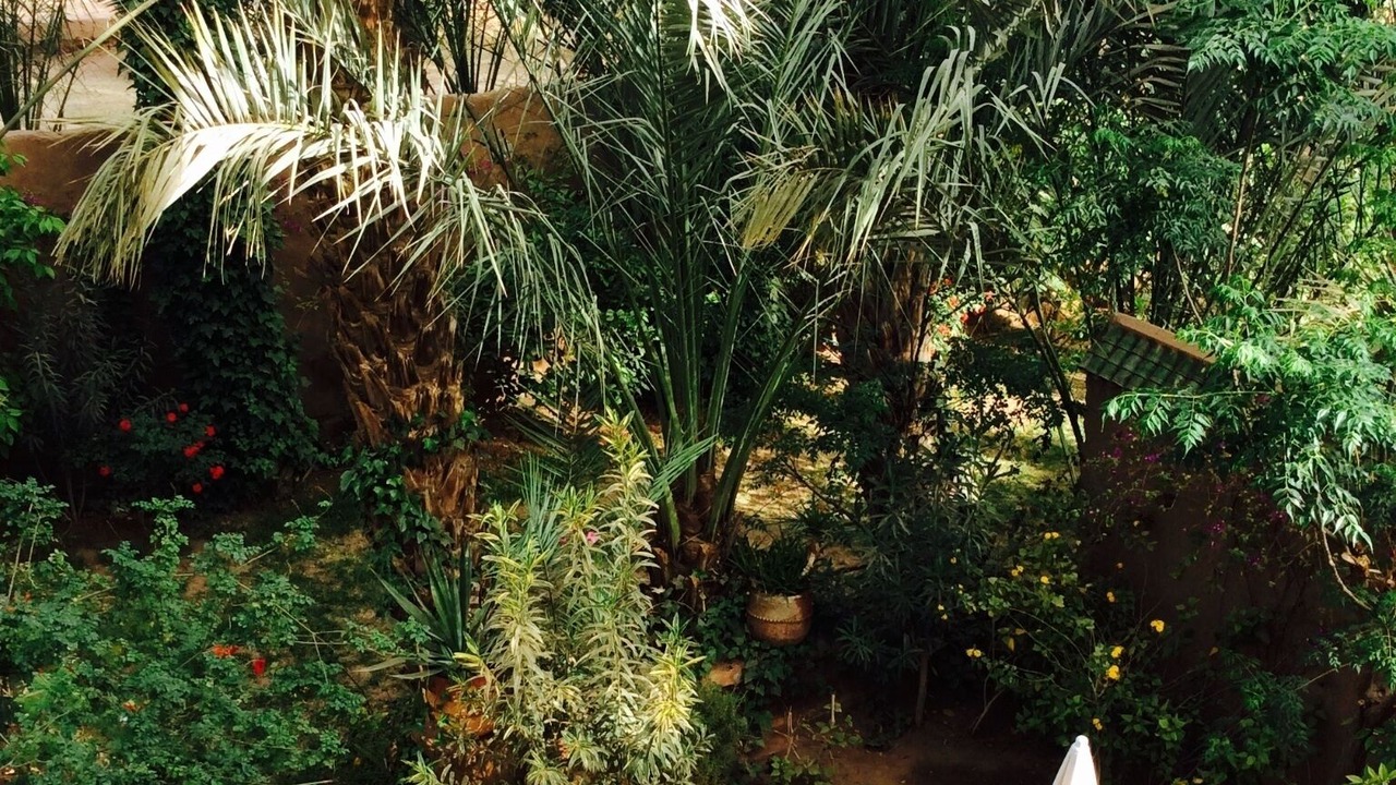 Photo of Outdoor in Amezrou