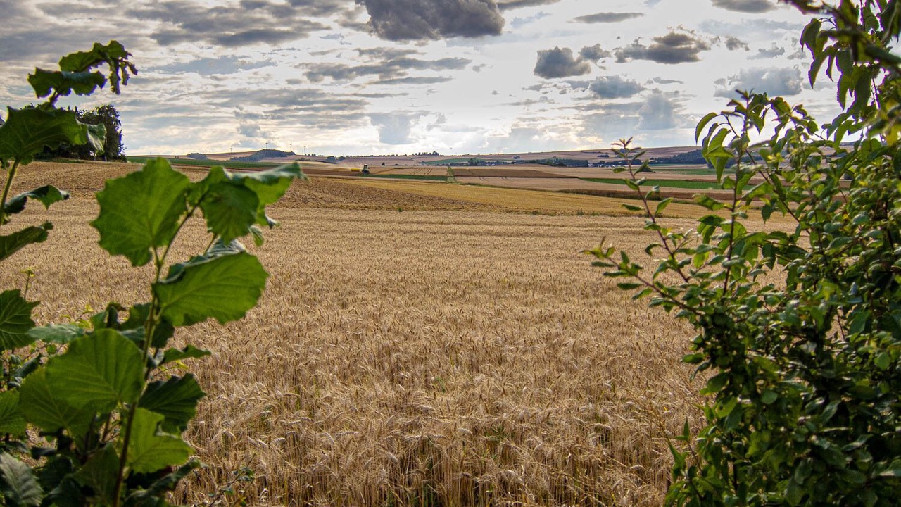 Photo of Others in Gappenach
