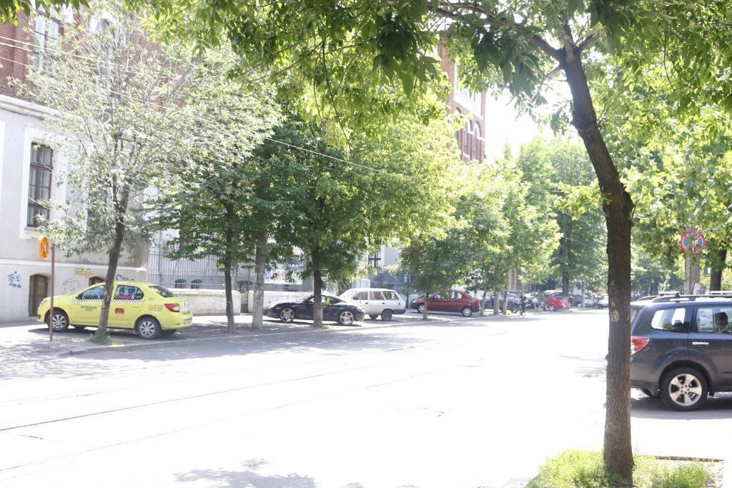 Photo of Others in Sector 2