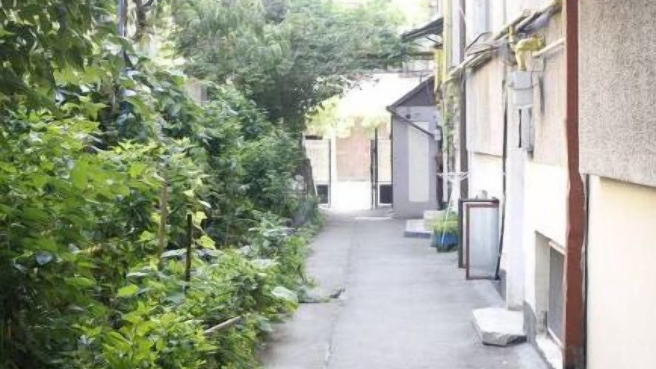 Photo of Outdoor in Sector 2