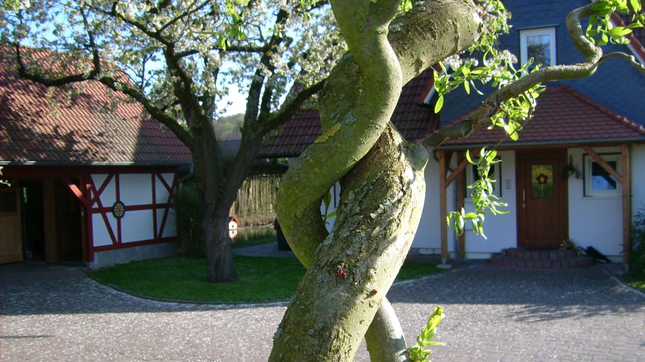 Photo of Outdoor in Ebenshausen