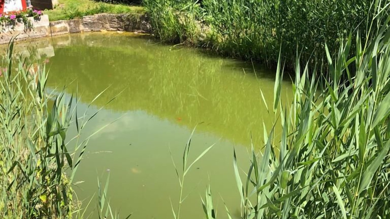Photo of Outdoor in Ebenshausen