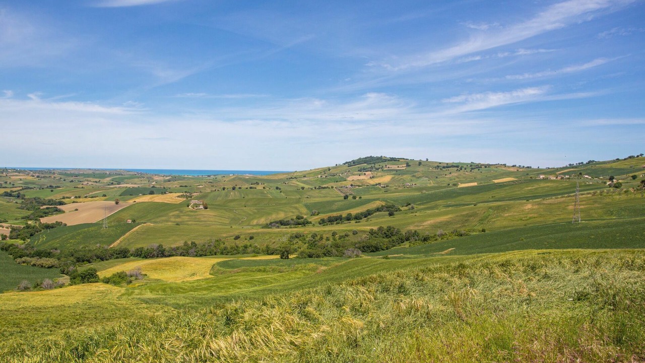 Photo of Others in Montenero di Bisaccia