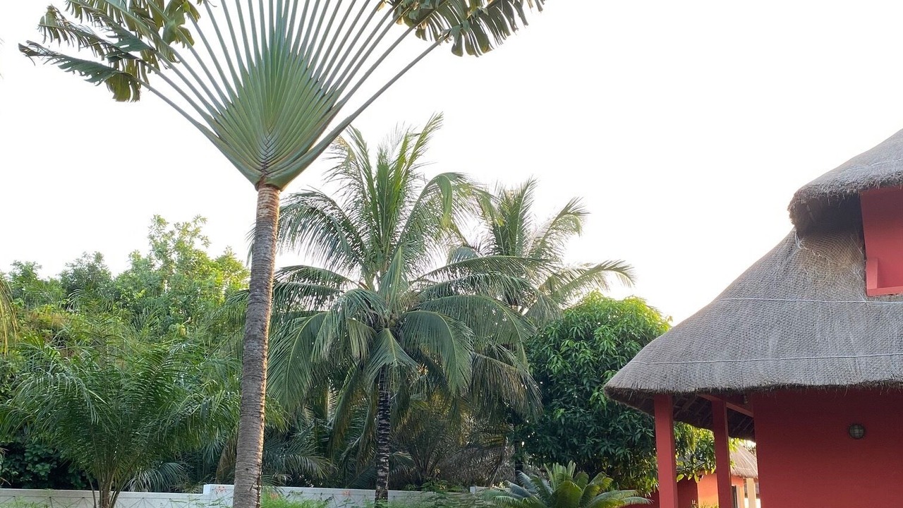 Photo of Outdoor in Cap Skirring
